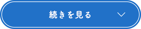 続きを見る